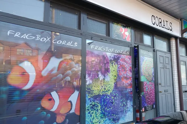 Fragbox Corals