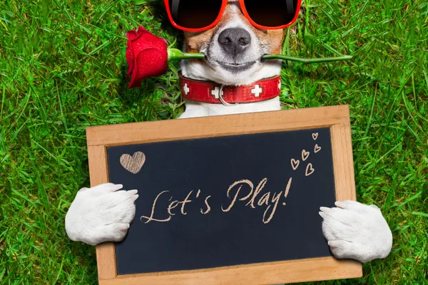 Pet's Gadgets