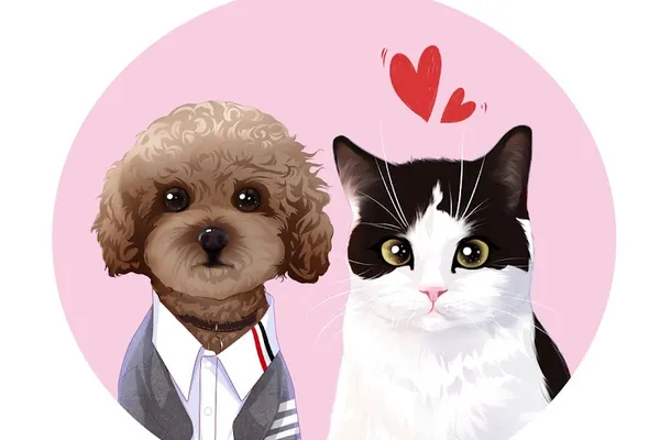 Cutie Club Pet Grooming