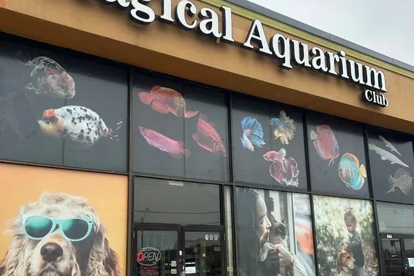 Magical Aquarium Wholesale Inc.