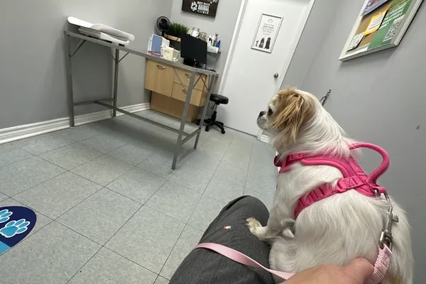 West Hill Animal Clinic