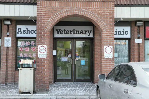 Ashcott Veterinary Clinic