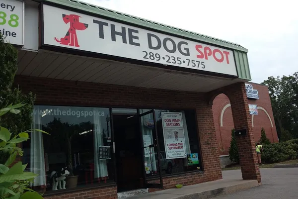 Dog Spot