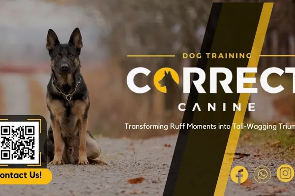 Correct Canine Dog Training