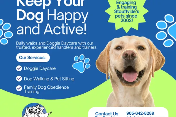 K9'S in KAHOOTS