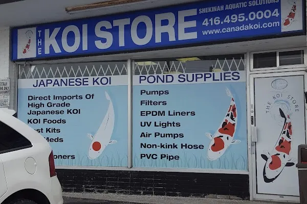 The Koi Store