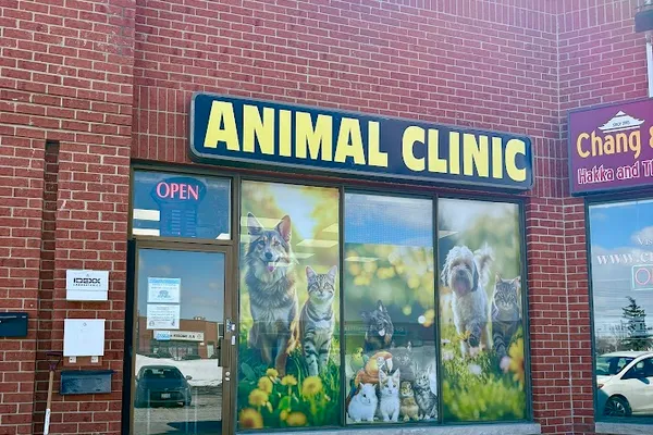 Dixie Eglinton Animal Clinic Mississauga