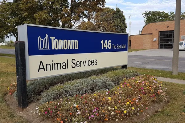 Toronto Animal Services