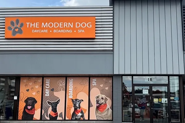 The Modern Dog Applewood
