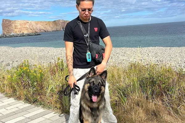 Sky’s Canine Academy