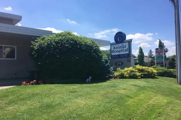 Grimsby Animal Hospital