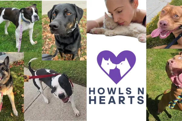 Howls N Hearts Pet Services