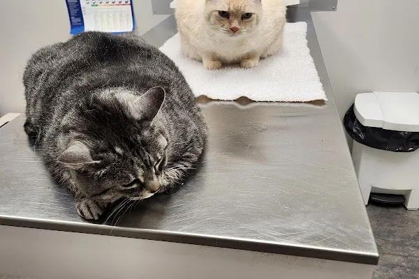 Hawkins Animal Hospital