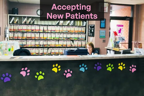 Briarwood Animal Hospital