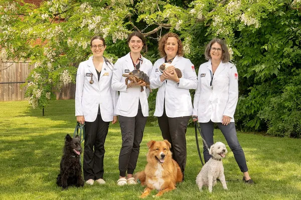 Burloak Animal Hospital