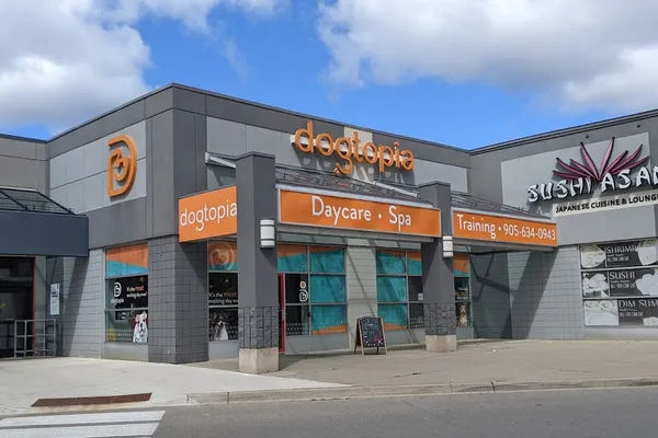 Dogtopia of Burlington