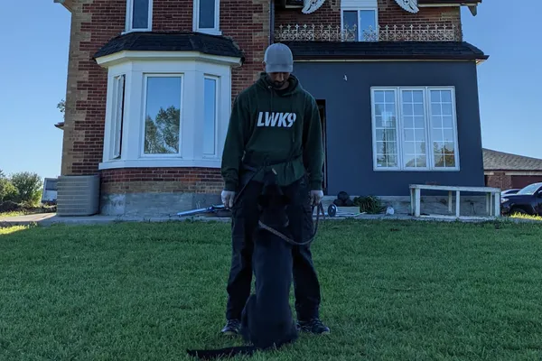 Lone Wolf K9