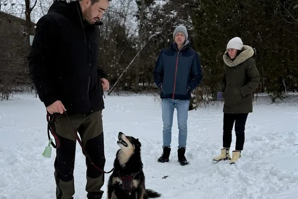 Lakeshore Canine