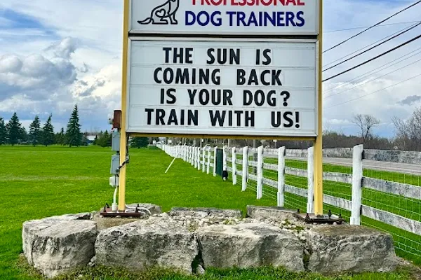 McCann Professional Dog Trainers