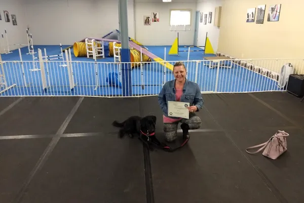 Impressive Canines - Professional Dog Training & Behaviour Therapy