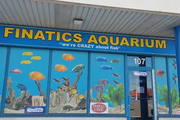 Finatics Aquarium
