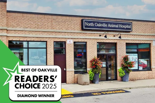 North Oakville Animal Hospital