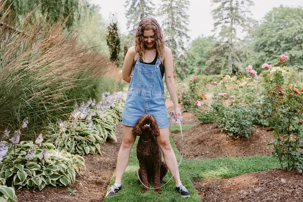 The Underdog Collective - Positive Reinforcement Dog Training
