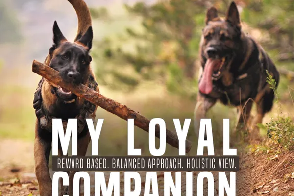My Loyal Companion