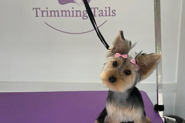 Trimming Tails