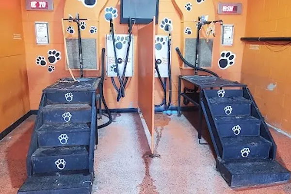 24 hours self serve pet wash