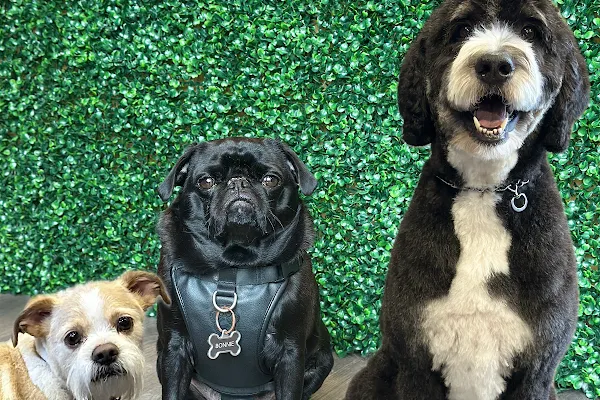 The Dapper Dog Den