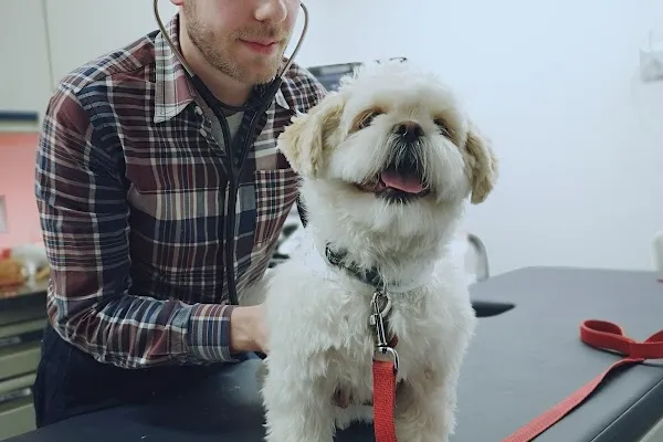 Toronto Animal Health Partners Emergency and Specialty Hospital