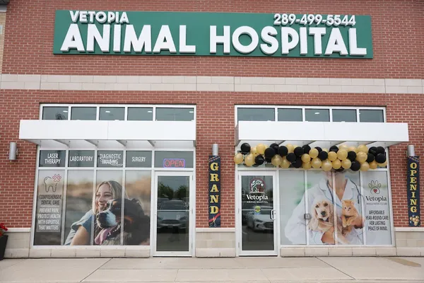 Vetopia Animal Hospital