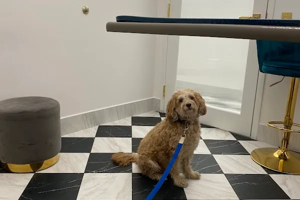 Alton Village Animal Hospital