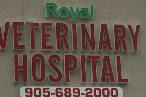 Royal Veterinary Hospital