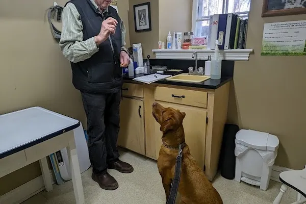 Stonegates Veterinary Hospital