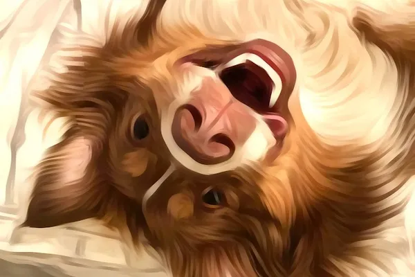 Woven Animal & Human Chiropractic