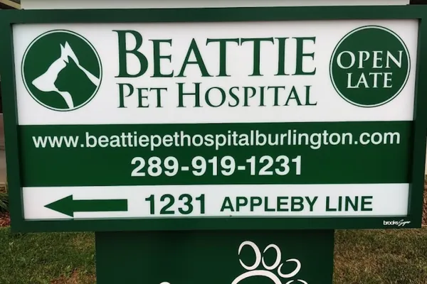 Beattie Pet Hospital - Burlington