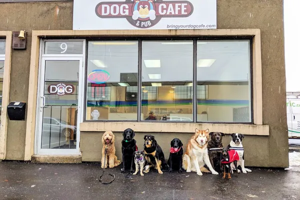 BE Cafe & Barkery