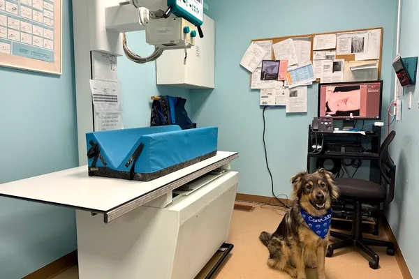 VCA Canada Askey Animal Hospital