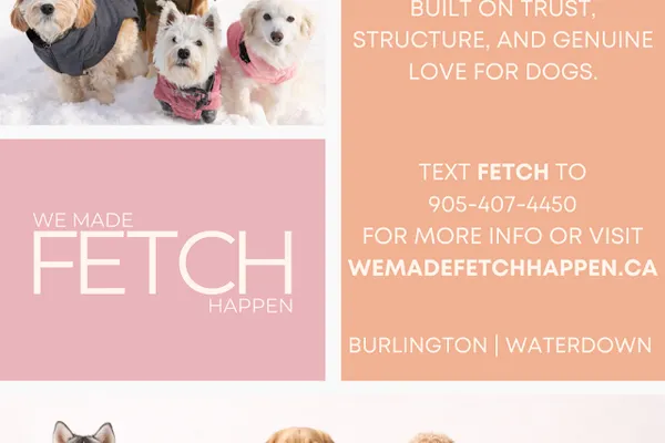 We Made Fetch Happen