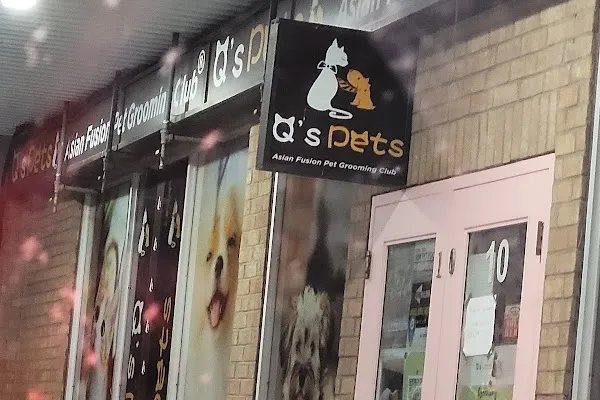 Q’s Pets
