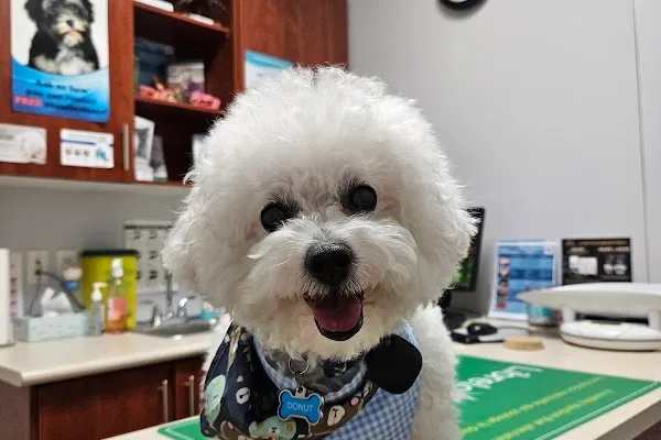 Wellington Veterinary Hospital