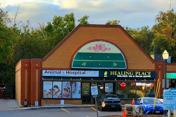 Animal Hospital Of Unionville