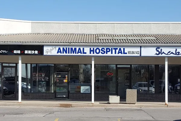 Ripley Animal Hospital