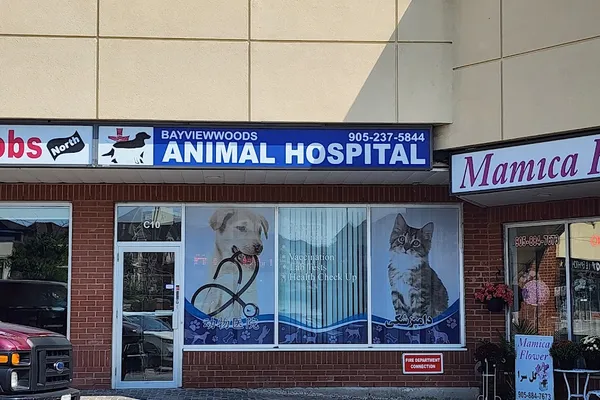 Bayviewwoods Animal Hospital