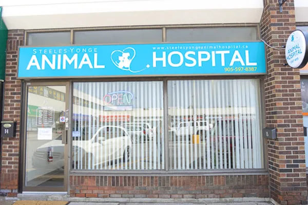 Steeles-Yonge Animal Hospital