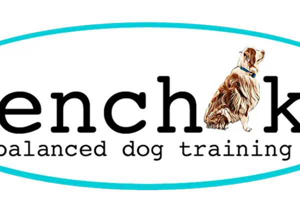 Bench K9 Dog Training