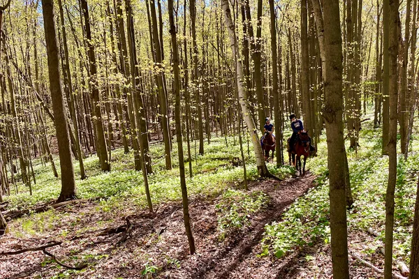 Pathways on Pleasure Valley | Horseback Riding Toronto