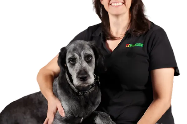 Bark Busters Niagara